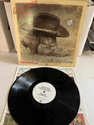 Gallagher lyle the last - &,